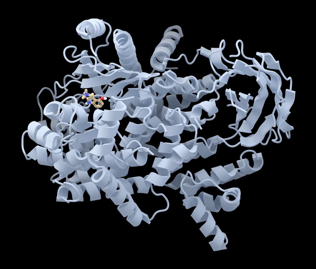 Psilocin docked into PI3Kγ (PDB 3APD), the protein drawn as a cartoon